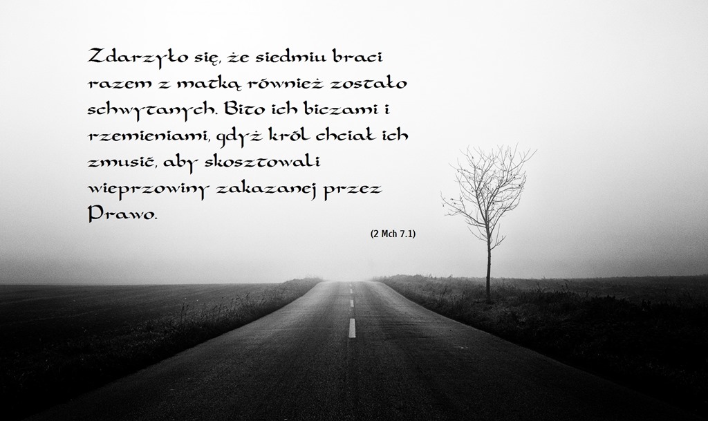 foggy-road.jpg