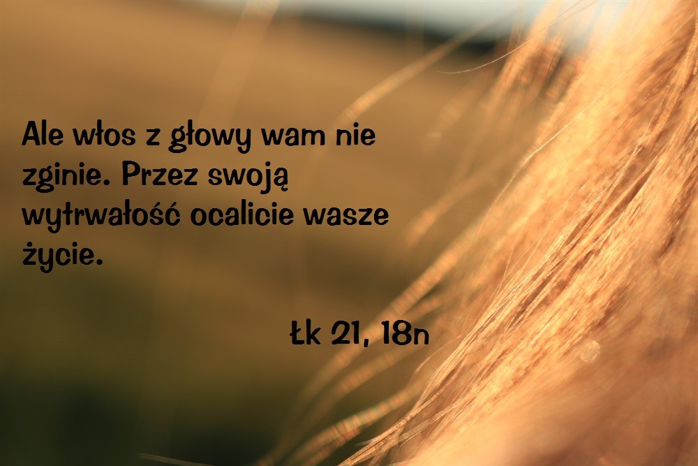sm_goldenhair.jpg